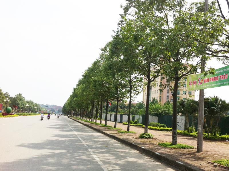 20190621165429_81202_1