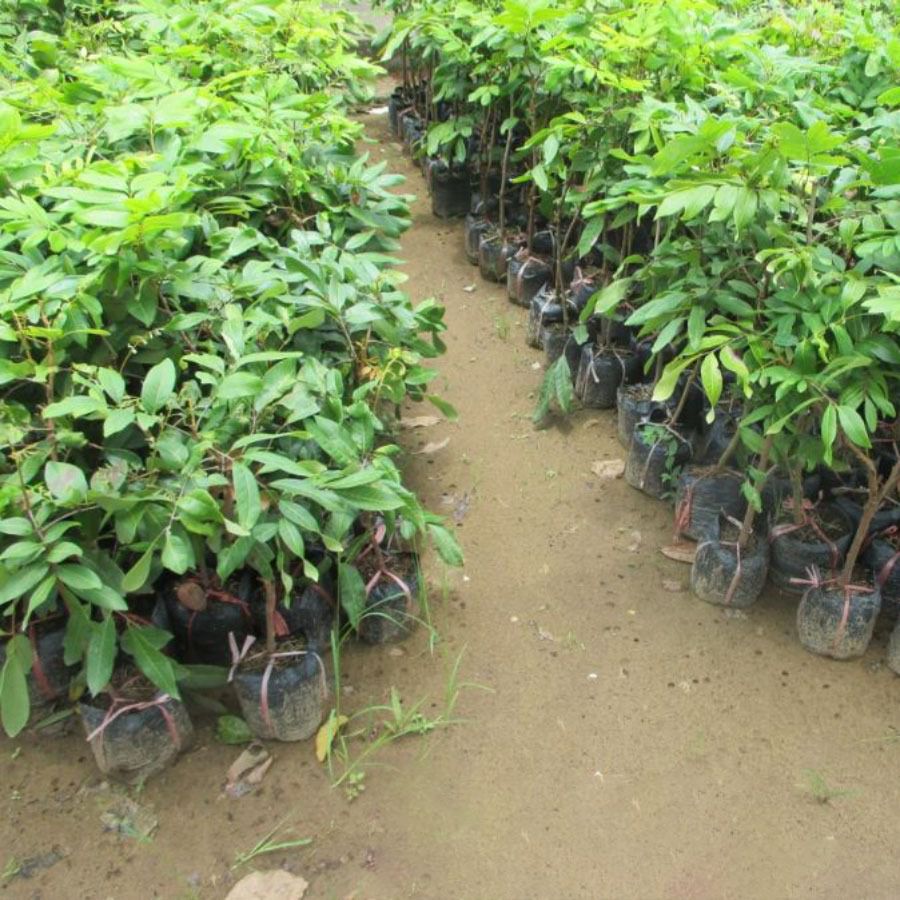 b36fd26406ae78372e701dafb87379dd