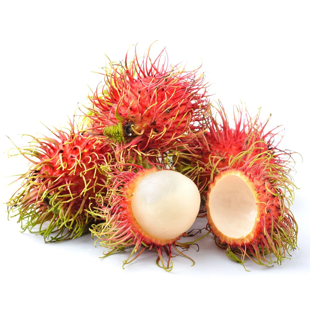 chom-chom-thai