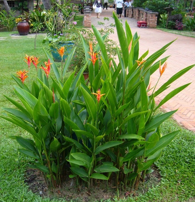 db506e52-1e1c-4f24-b13f-c95160844a98-260-00000098c9e55b13-jpeg