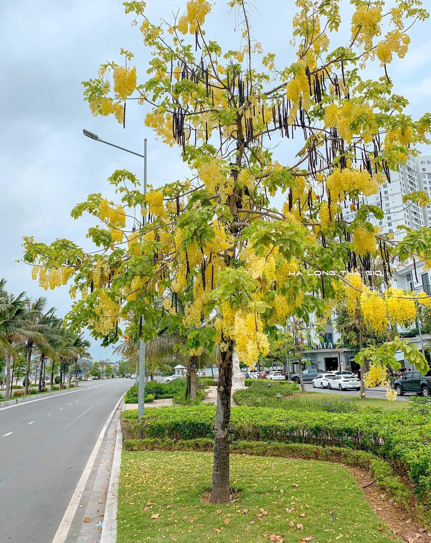 z2628999606191_c79b244299ca5182b73e14614b31806b